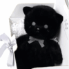 Little cat
