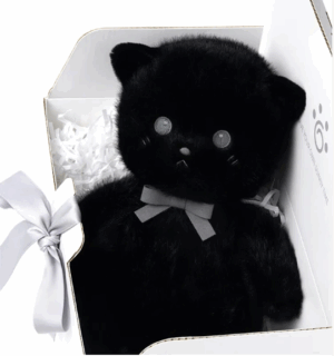 Little cat