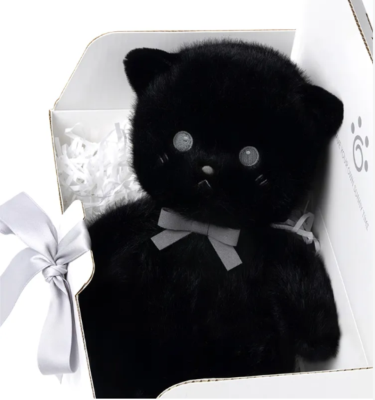 Little cat