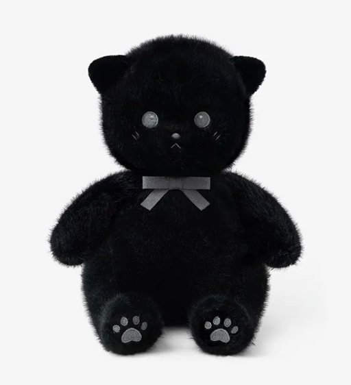 Little cat